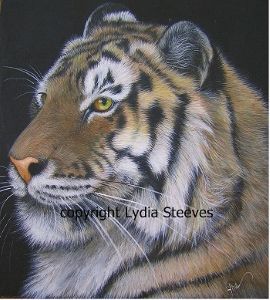 Majestic Acrylic e-Packet